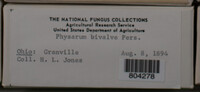 Image Associated With the Occurence